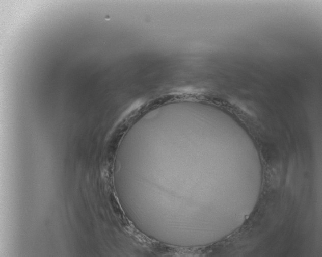 X0000080101254200612221729