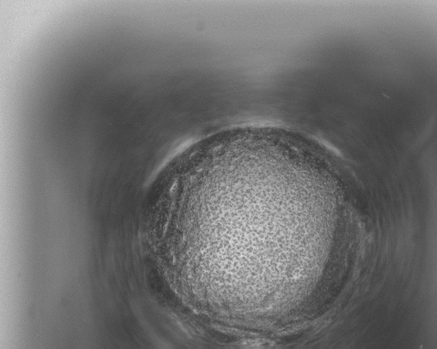 X0000080101255200612221729