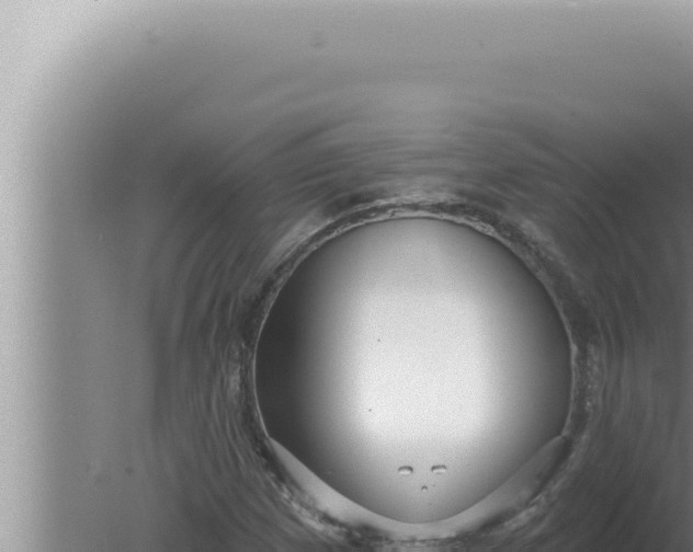 X0000080101257200612221729