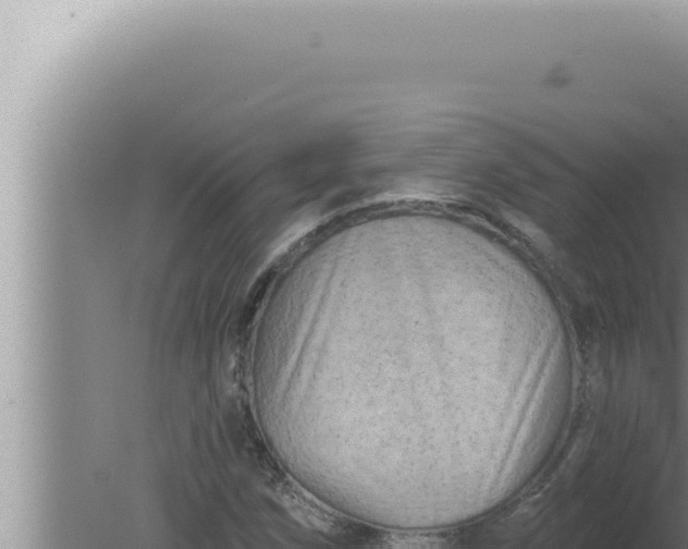 X0000080101258200612221729