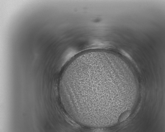 X0000080101259200612221729