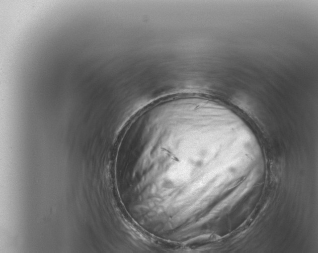 X0000080101260200612221729