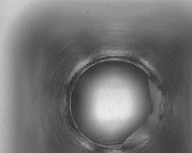 X0000080101261200612221729