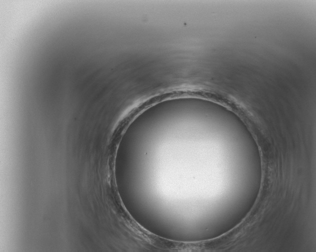 X0000080101262200612221729