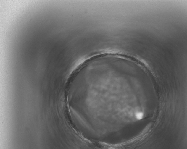 X0000080101263200612221729