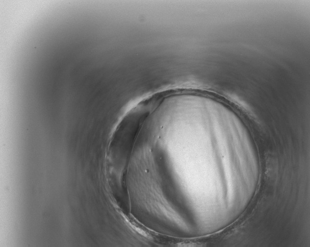 X0000080101264200612221729