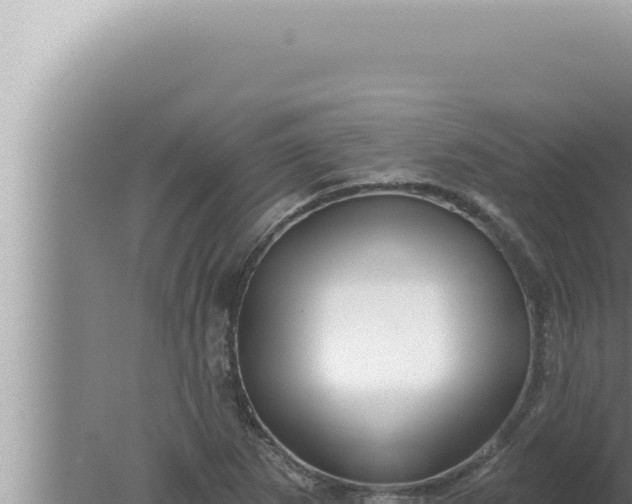 X0000080101265200612221729