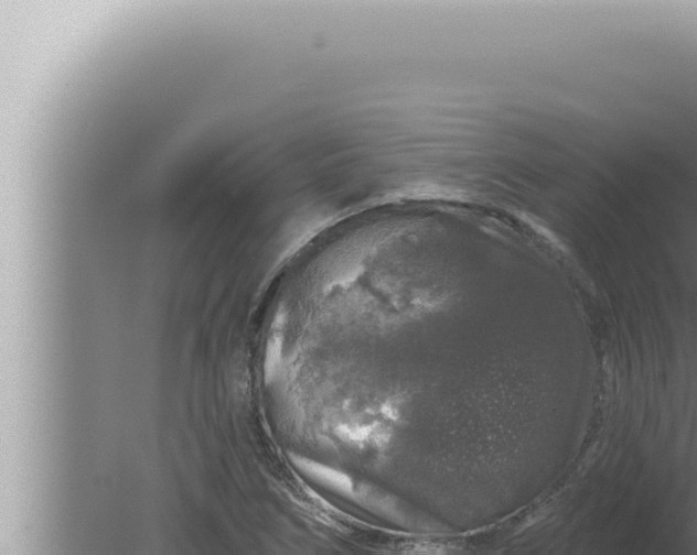 X0000080101266200612221729