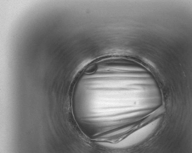 X0000080101267200612221729