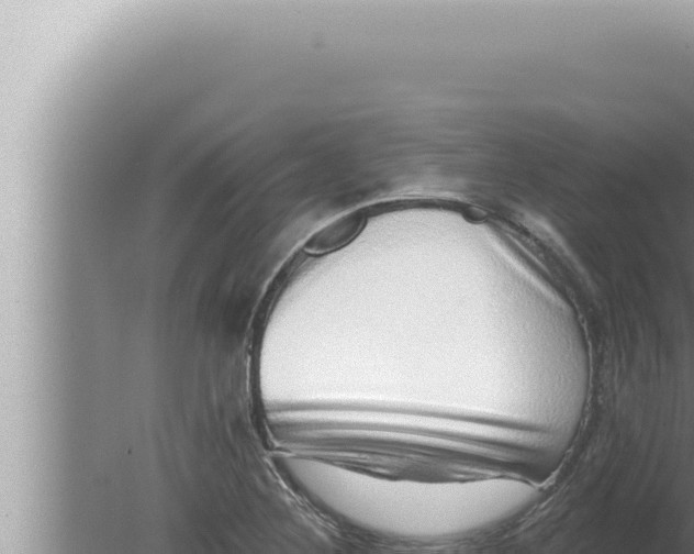 X0000080101268200612221729