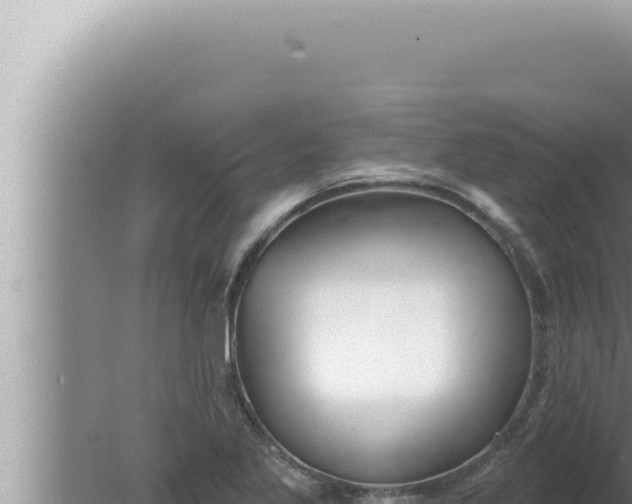 X0000080101269200612221729