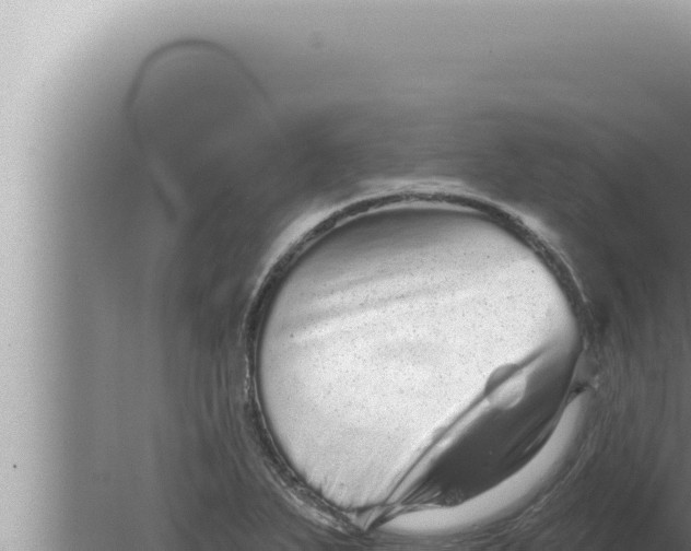 X0000080101271200612221729