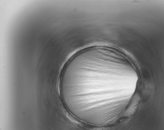 X0000080101272200612221729