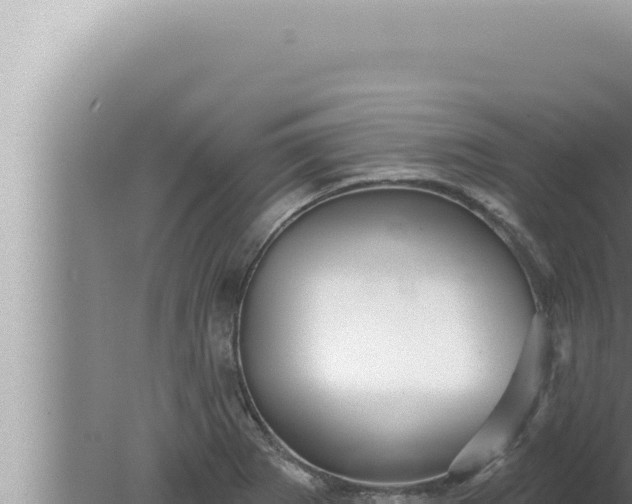 X0000080101273200612221729