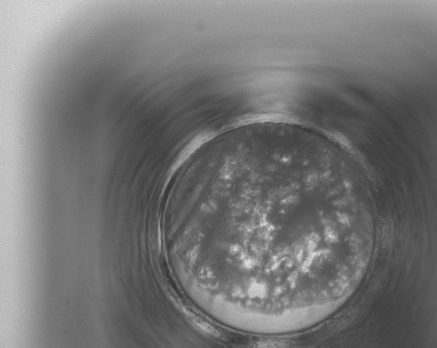 X0000080101274200612221729