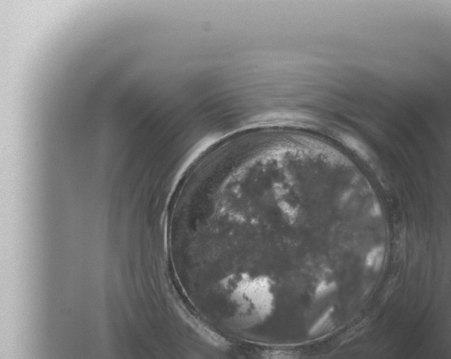 X0000080101275200612221729