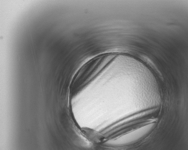 X0000080101276200612221729