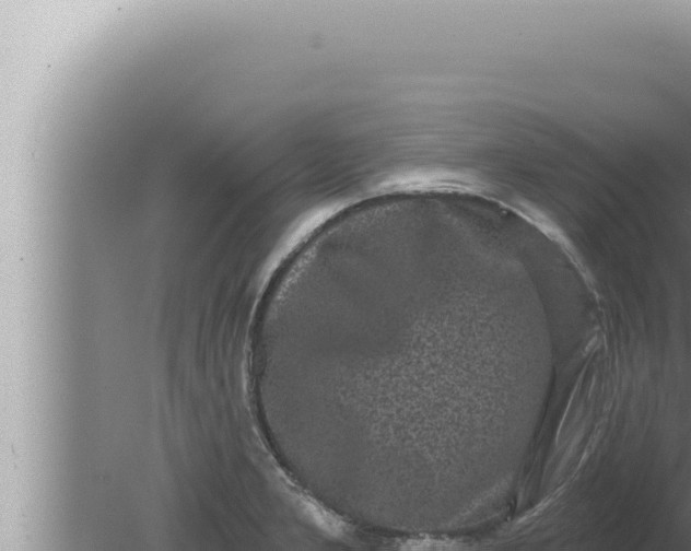 X0000080101277200612221729