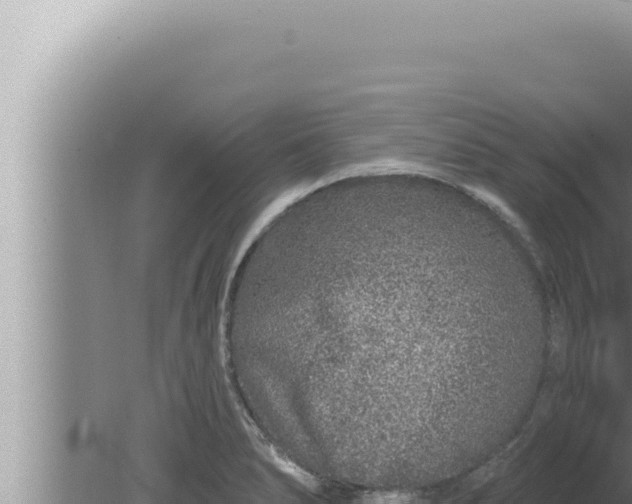 X0000080101278200612221729