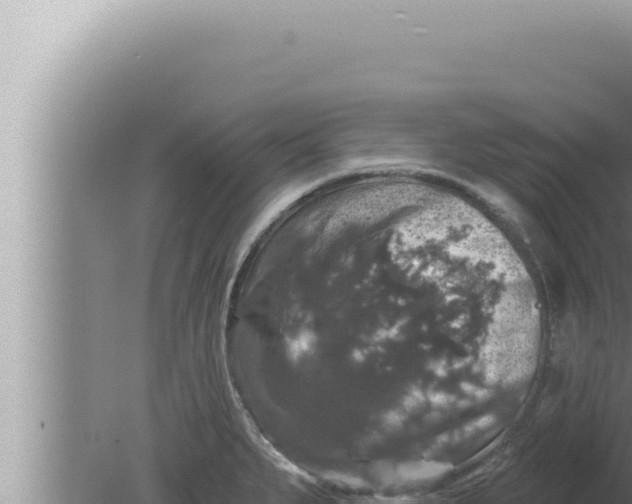 X0000080101279200612221729