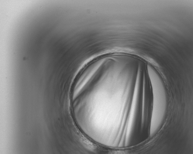 X0000080101280200612221729