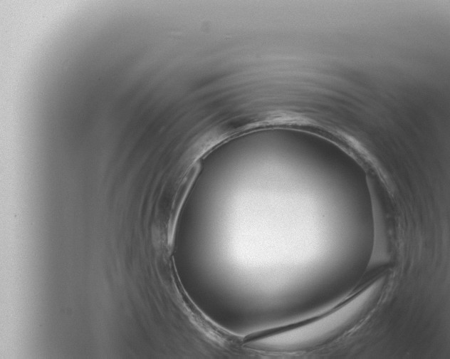 X0000080101281200612221729