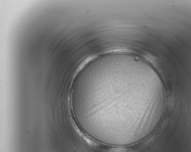 X0000080101282200612221729