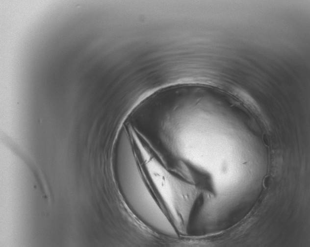 X0000080101284200612221729