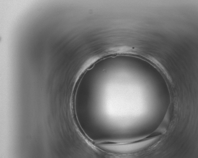 X0000080101285200612221729