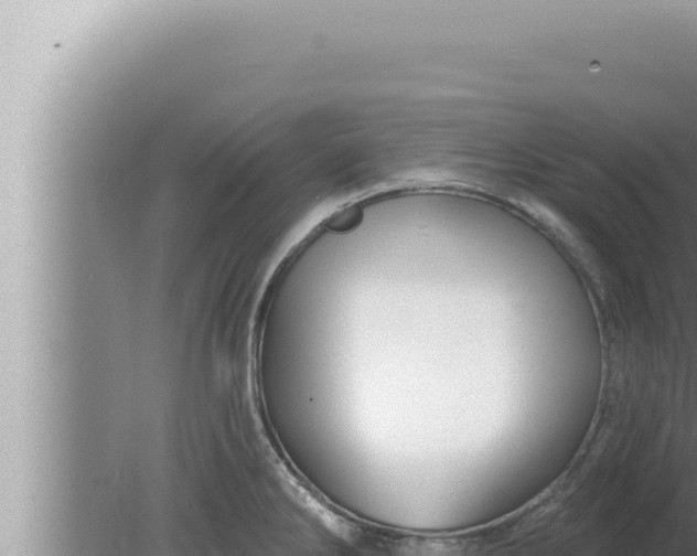 X0000080101286200612221729