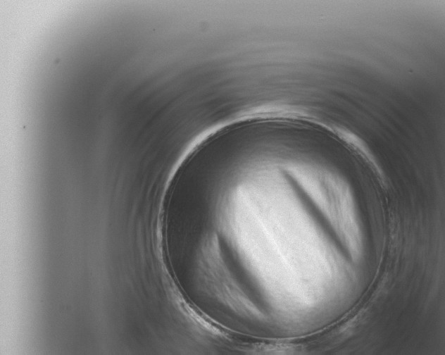 X0000080101288200612221729