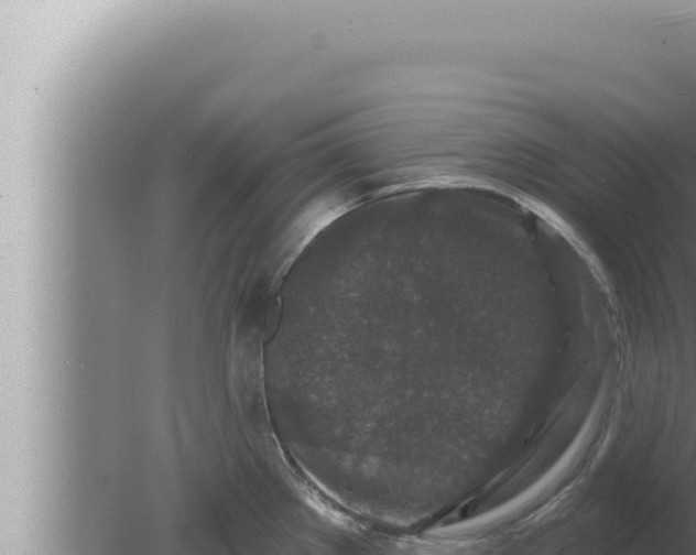 X0000080101289200612221729