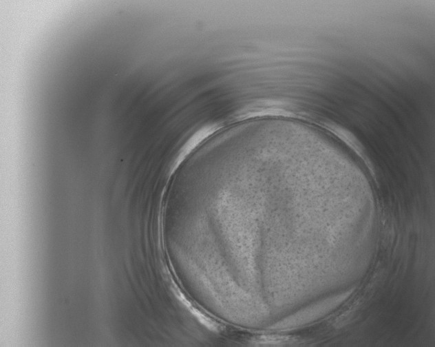 X0000080101290200612221729