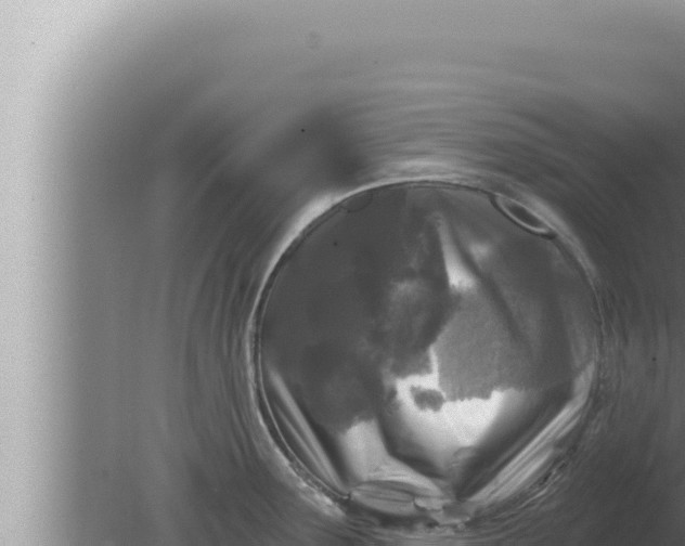 X0000080101291200612221729