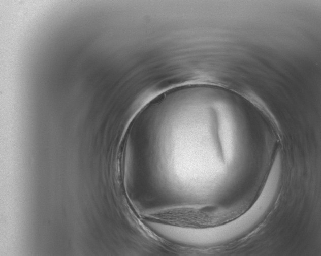 X0000080101292200612221729