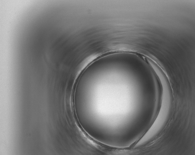 X0000080101293200612221729