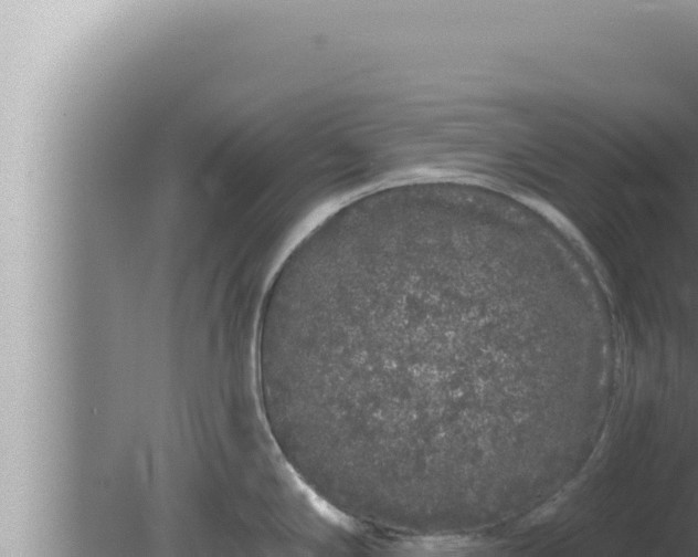 X0000080101294200612221729