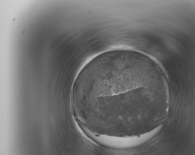 X0000080101295200612221729