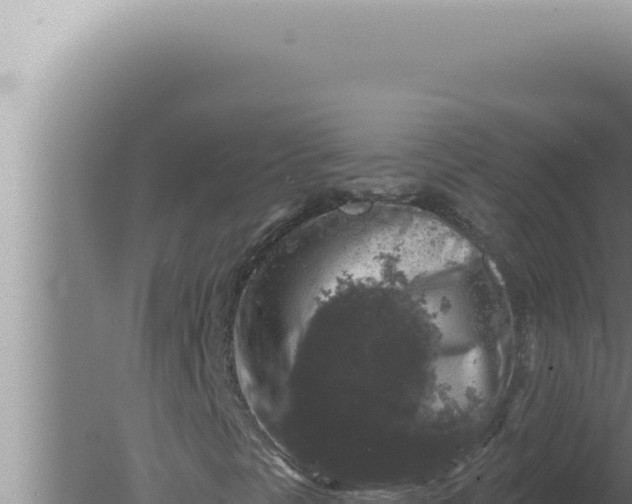 X0000080101297200612221728