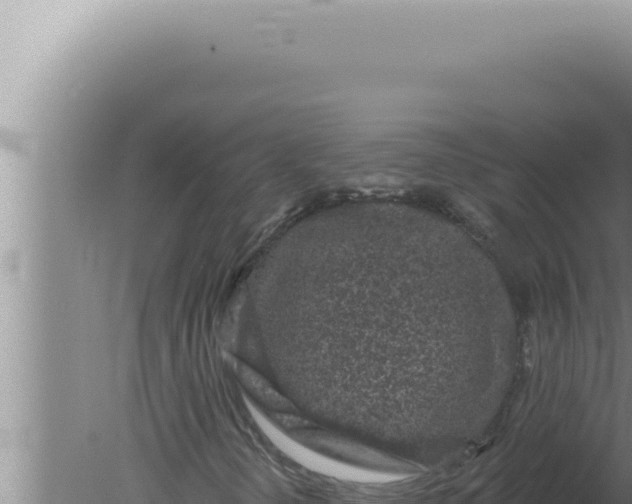 X0000080101298200612221728