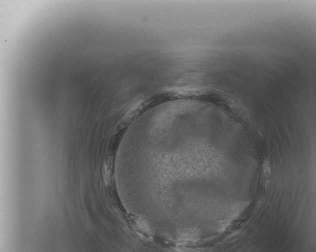 X0000080101300200612221728