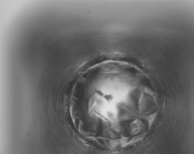 X0000080101301200612221728