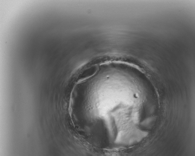 X0000080101302200612221728