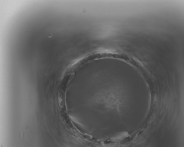 X0000080101303200612221728