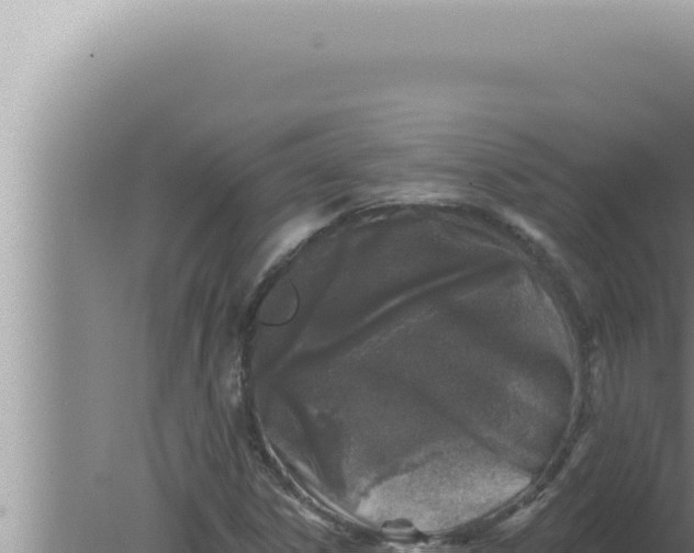 X0000080101306200612221728