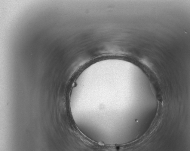 X0000080101307200612221728