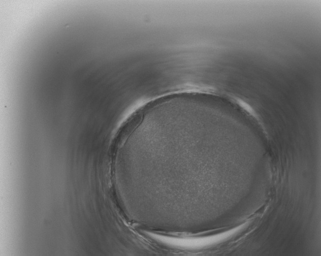 X0000080101310200612221728