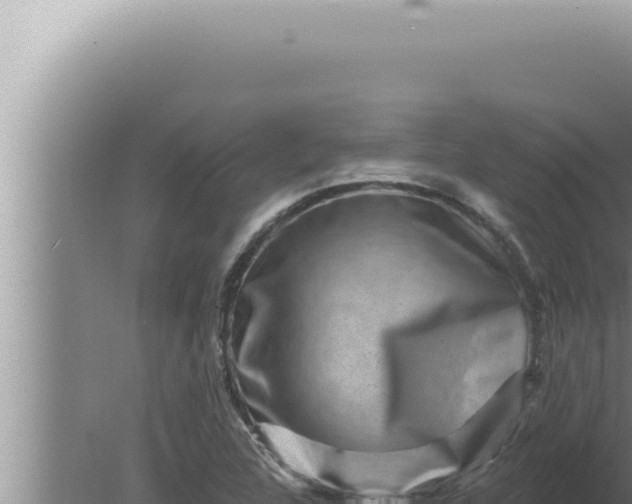 X0000080101312200612221728