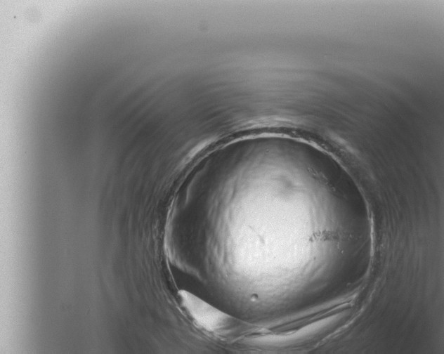 X0000080101313200612221728