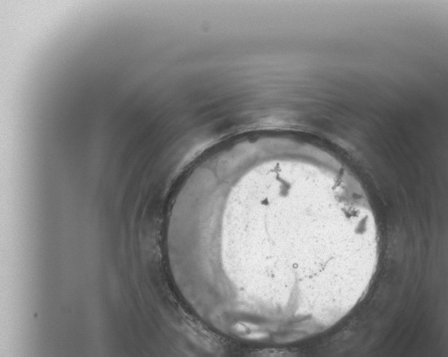 X0000080101314200612221728